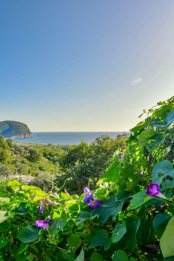 Pataki Guesthouse Petrovac Εξωτερικό φωτογραφία