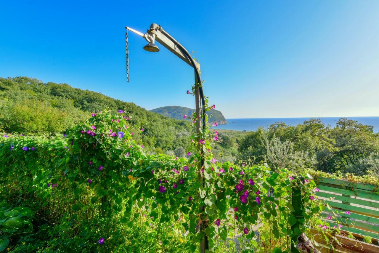 Pataki Guesthouse Petrovac Εξωτερικό φωτογραφία
