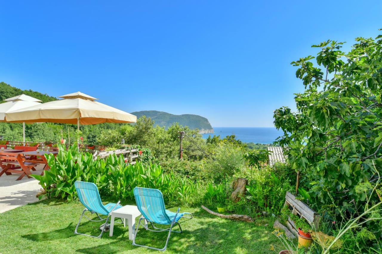 Pataki Guesthouse Petrovac Εξωτερικό φωτογραφία
