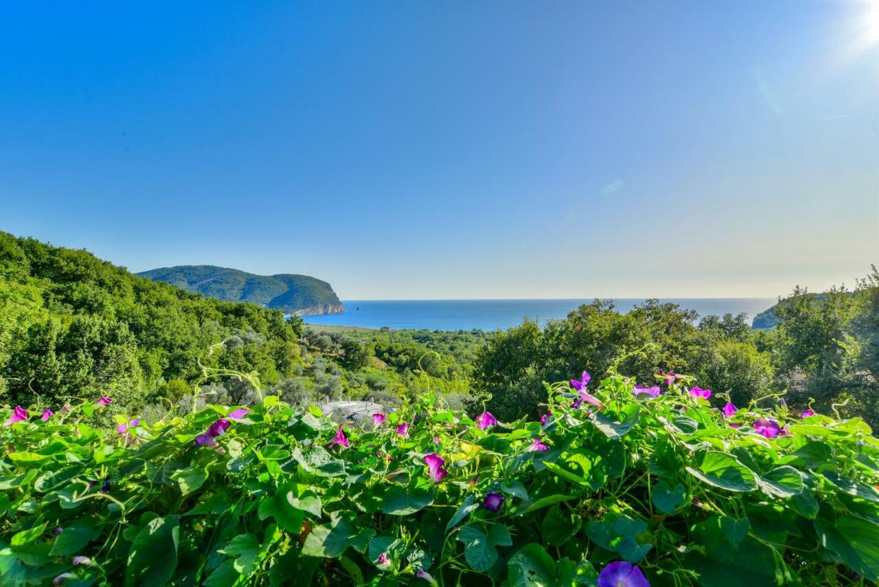 Pataki Guesthouse Petrovac Εξωτερικό φωτογραφία
